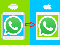 Cara Memindahkan Whatsapp Ke Hp Baru
