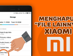 2 Cara Menghapus Other File Xiaomi Tanpa Root yang Mudah